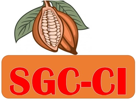 SGCCI