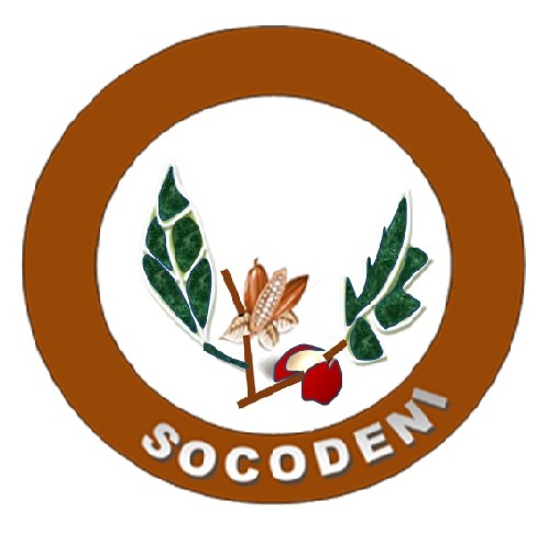 Socodeni